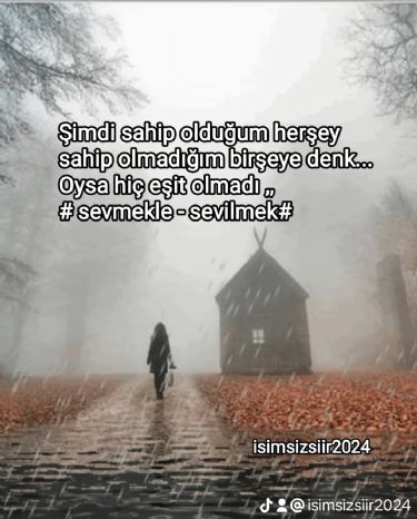 simsizsiir