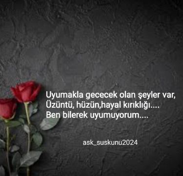 simsizsiir