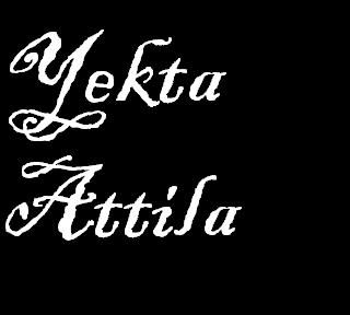 Yekta Attila