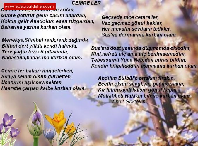 CEMRELER