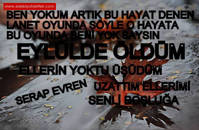 EYLLDE LDM