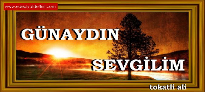 GNAYDIN SEVGLM