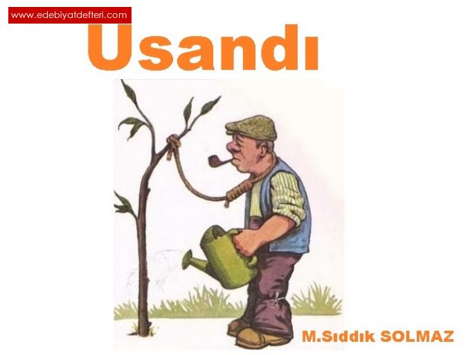 USANDI