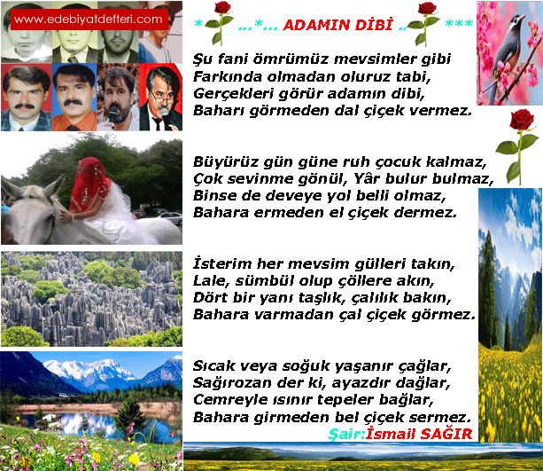 ADAMIN DB