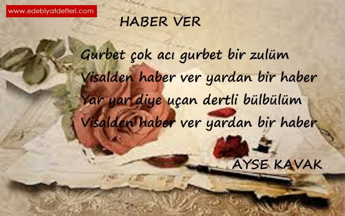 HABER VER