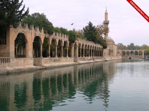 CAN URFA'M