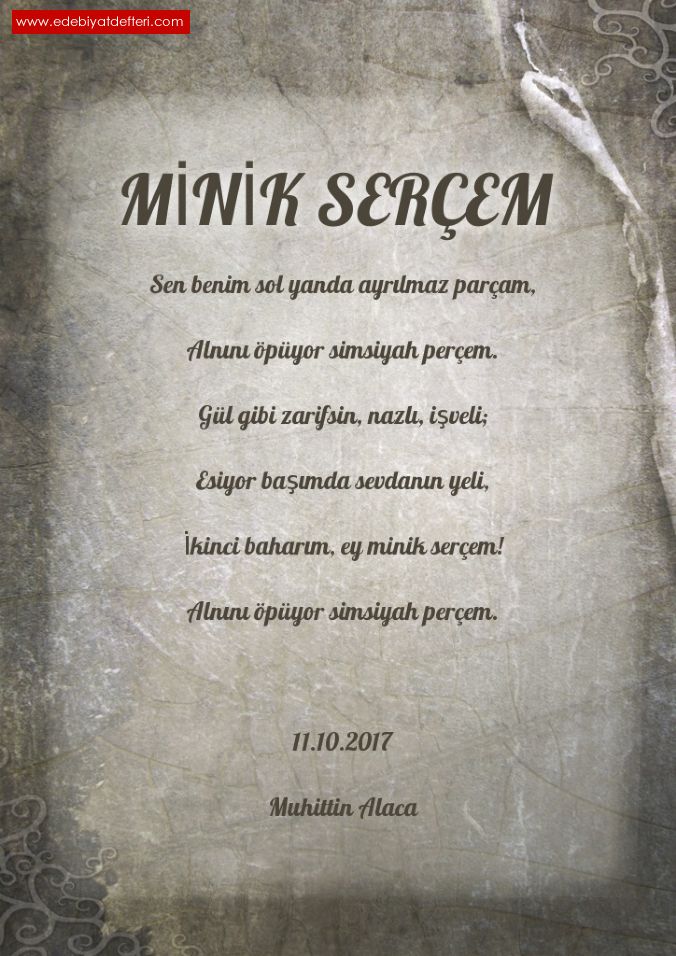 Minik Serem
