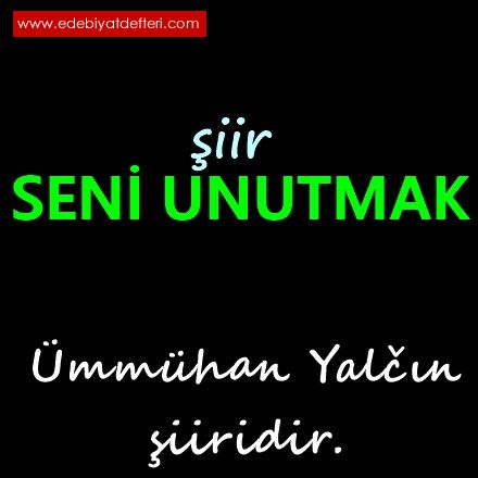 SEN UNUTMAK................