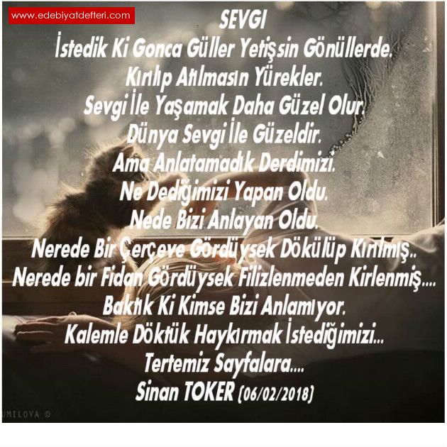 Sevgi şiiri Sinan TOKER