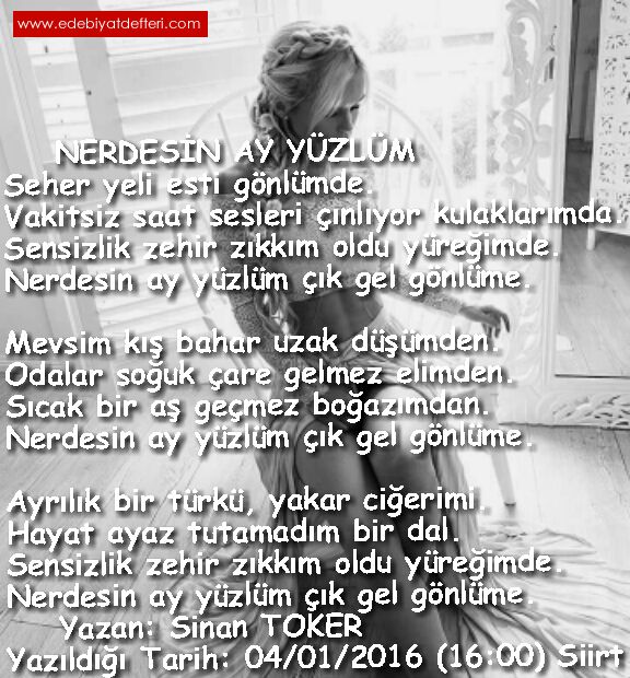 NERDESN AY YZLM