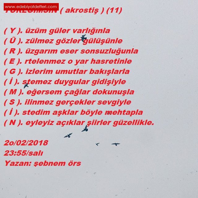 YREMSN / akrosti / (11)