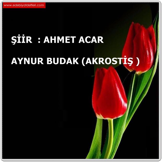 AYNUR BUDAK (Akrosti )