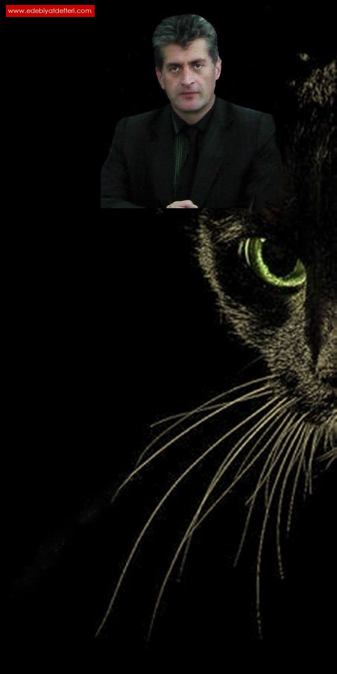 kara kedi...