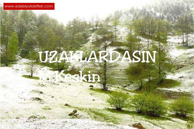 UZAKLARDASIN