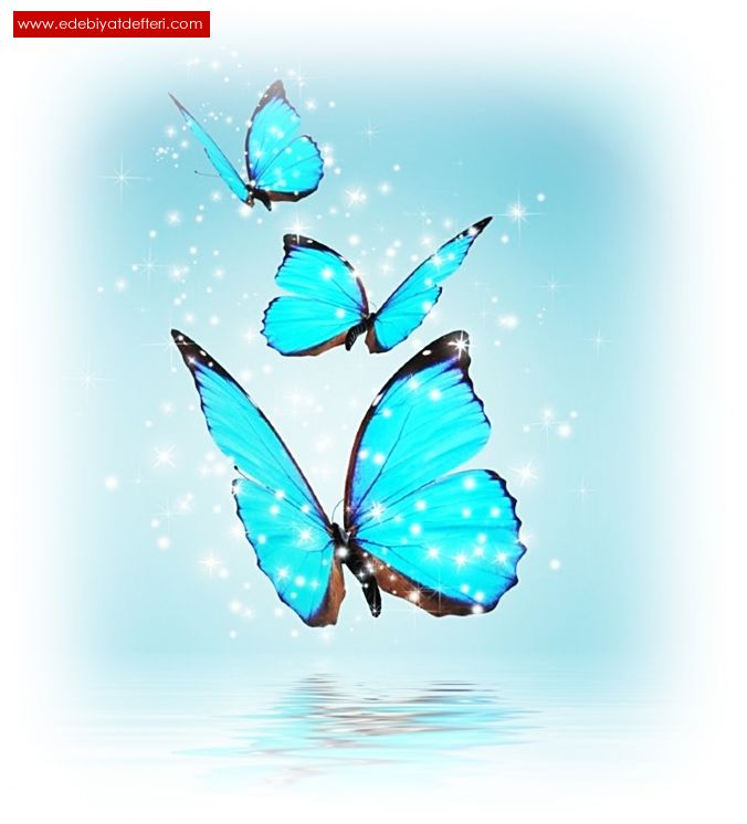 mavi kelebekler