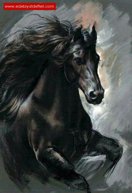 Siyah Atlar