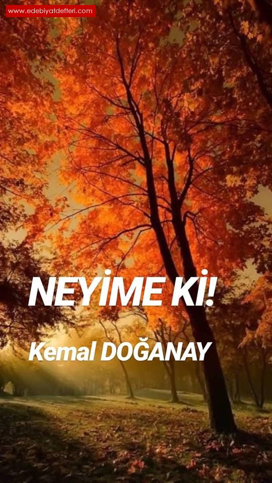 NEYME K