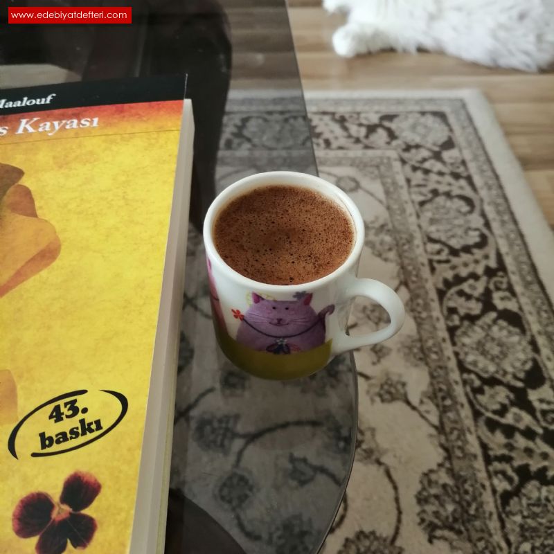 Kahve Kitap ve Kedi