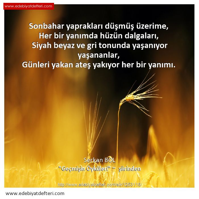 Gemiin ykleri