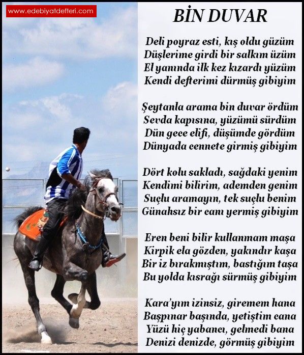 Bin duvar şiiri Osman NALBANT