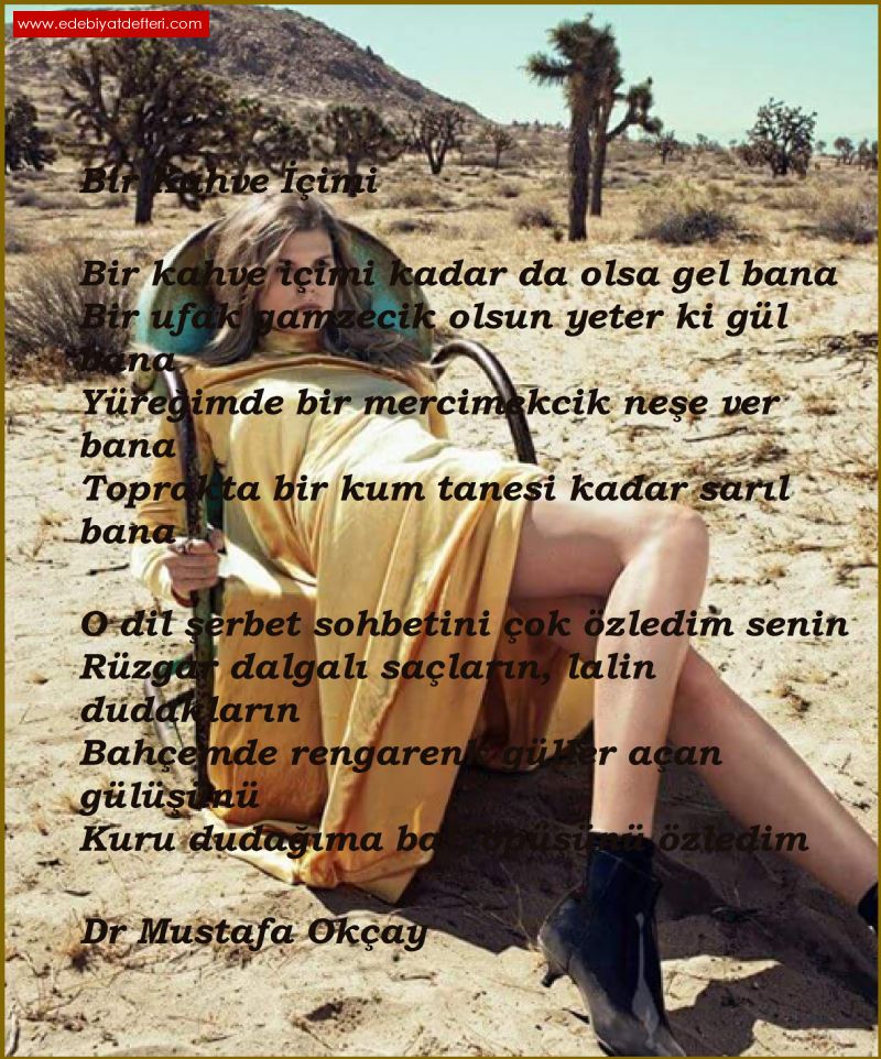 Bir kahve içimi şiiri Mustafa Okçay