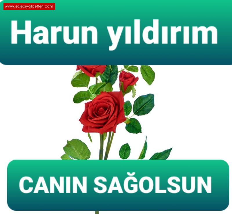 CANIN SAOLSUN 2