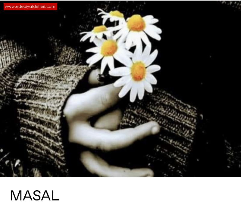 MASAL