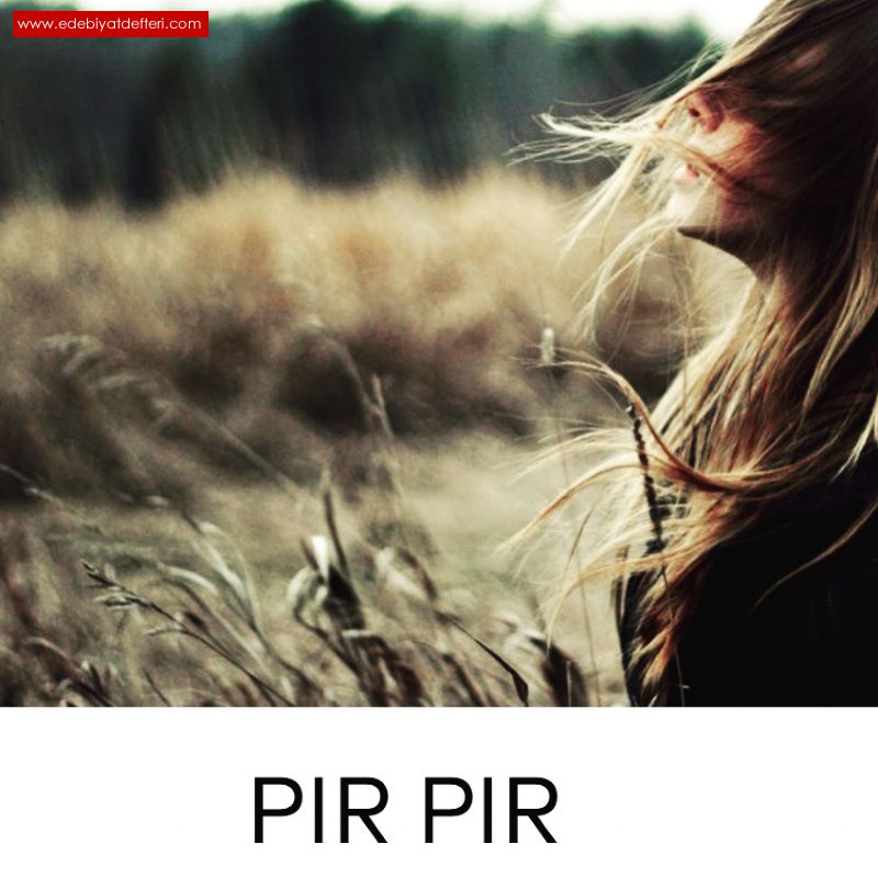 PIR PIR