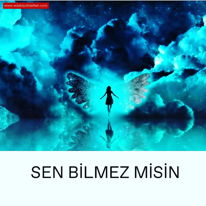 SEN BLMEZ MSN