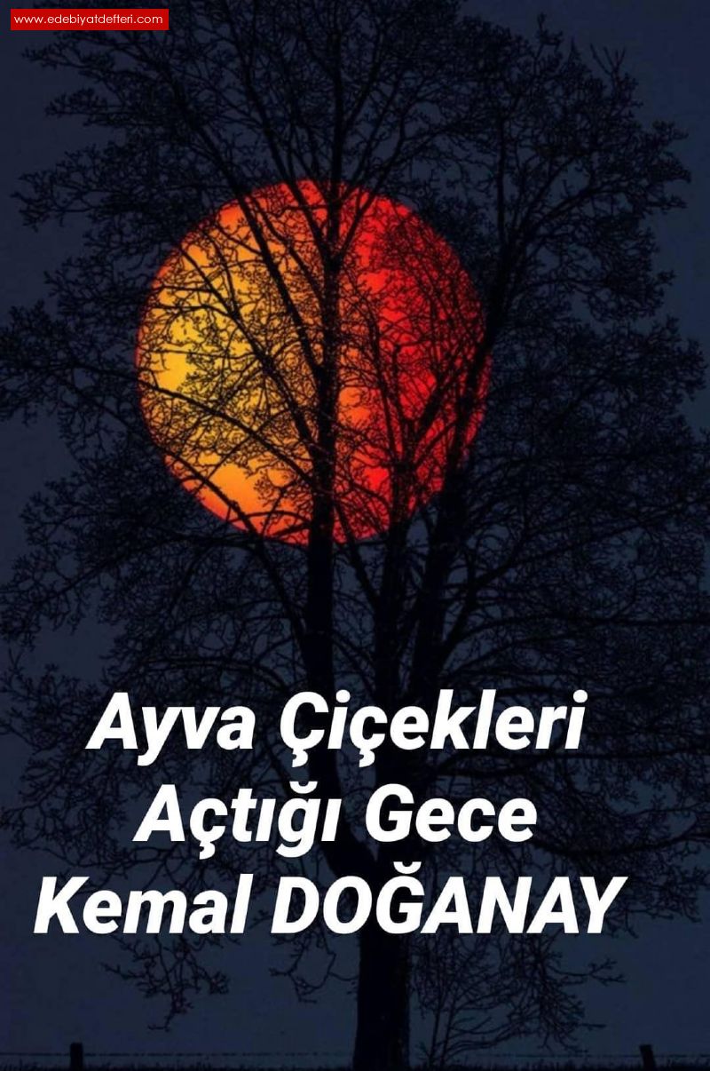 AYVA EKLER ATII GECE