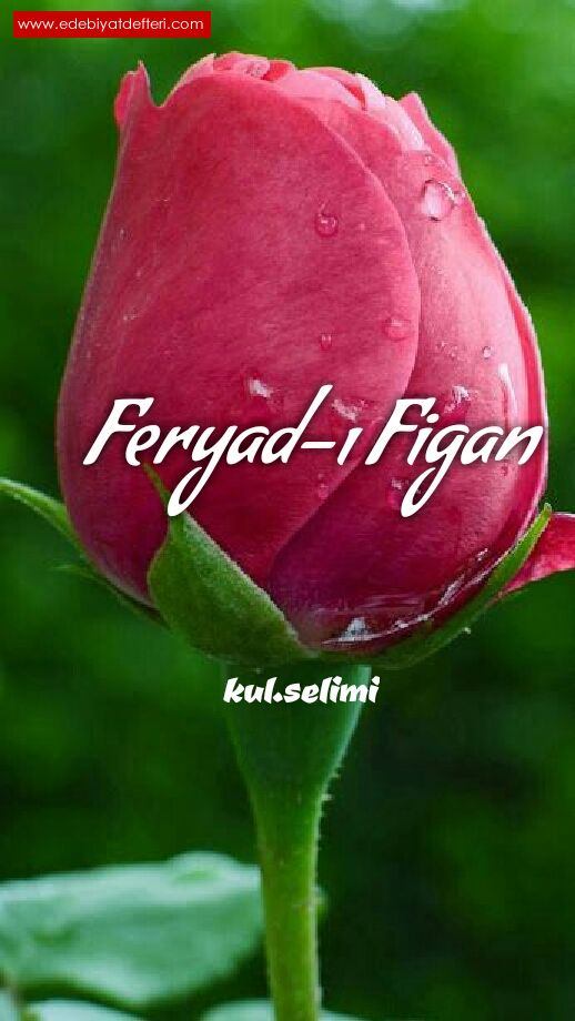 Feryad- Figan