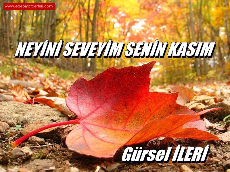 Neyini Seveyim Senin Kasm