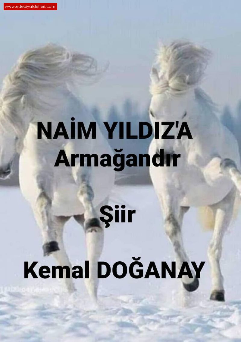 NAM YILDIZ'A ARMAANDIR