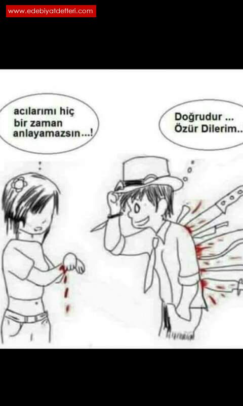 ZR DLERM