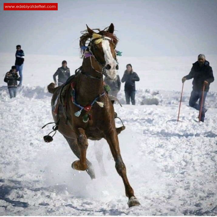 KOPTU ZNCRNDEN TUTKI TUTASIN