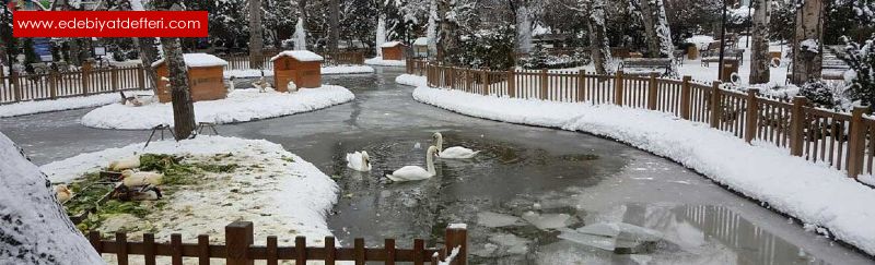 Kuulu Park'ta Bir ocuk Dolayor