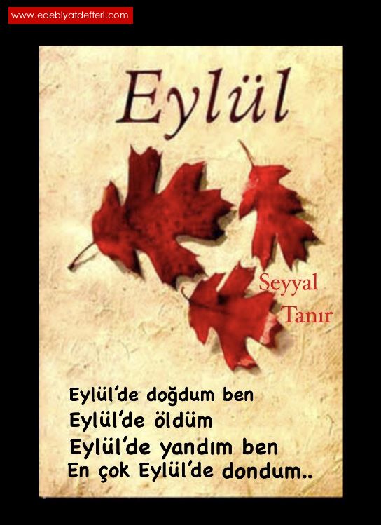 EYLL