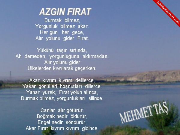 AZGIN  FIRAT