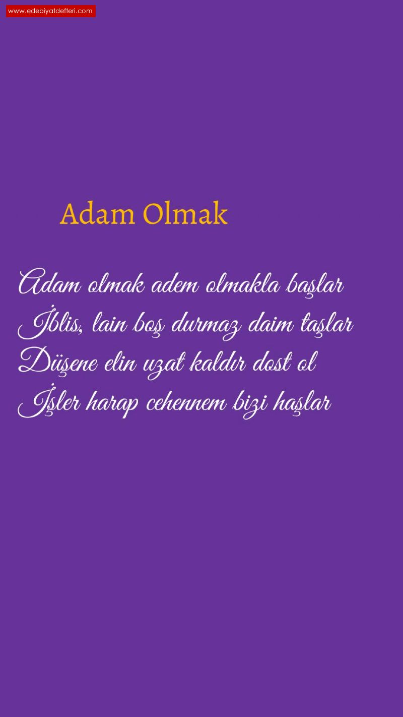 Adam Olmak