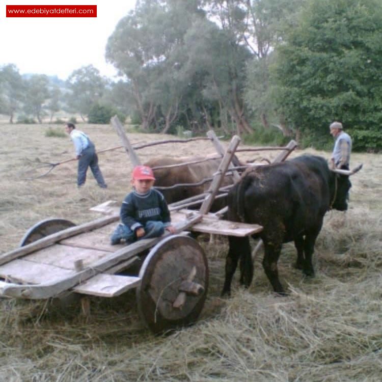 SEVG SAYGI HATIR VARDI