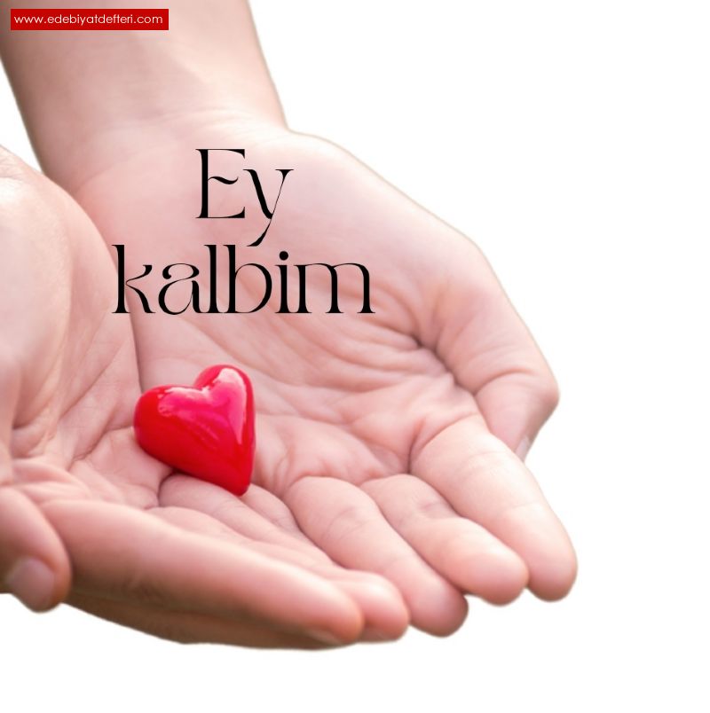 Ey kalbim!