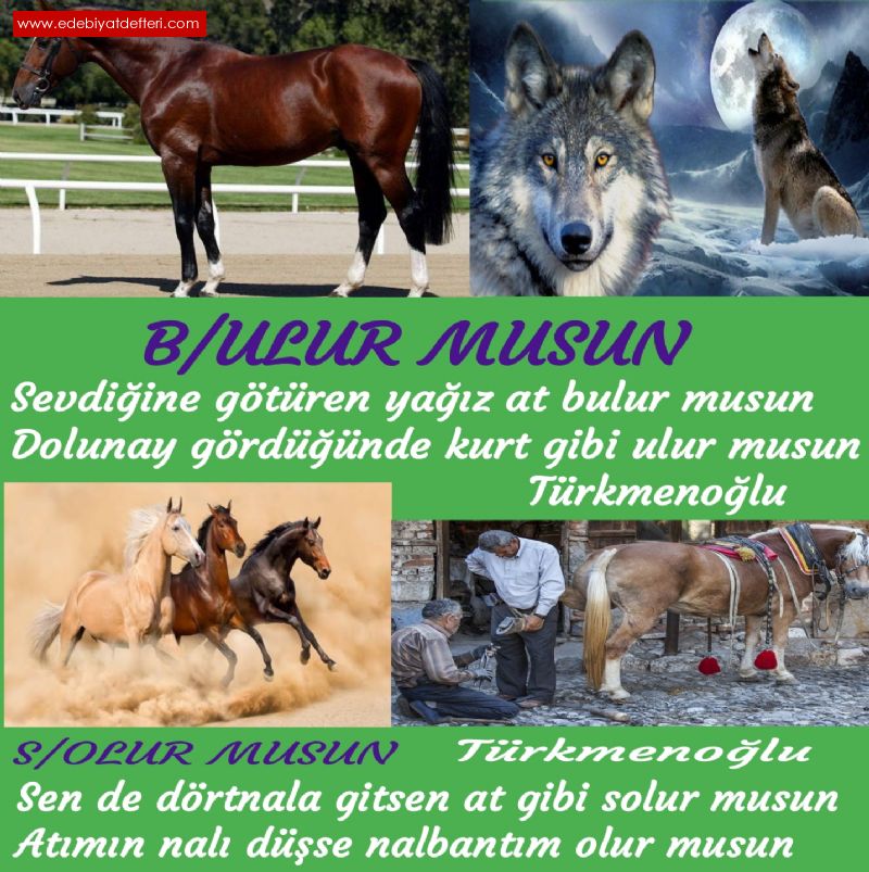 K BEYT : B/ulur musun, S/olur musun 🏇