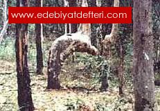 Secden