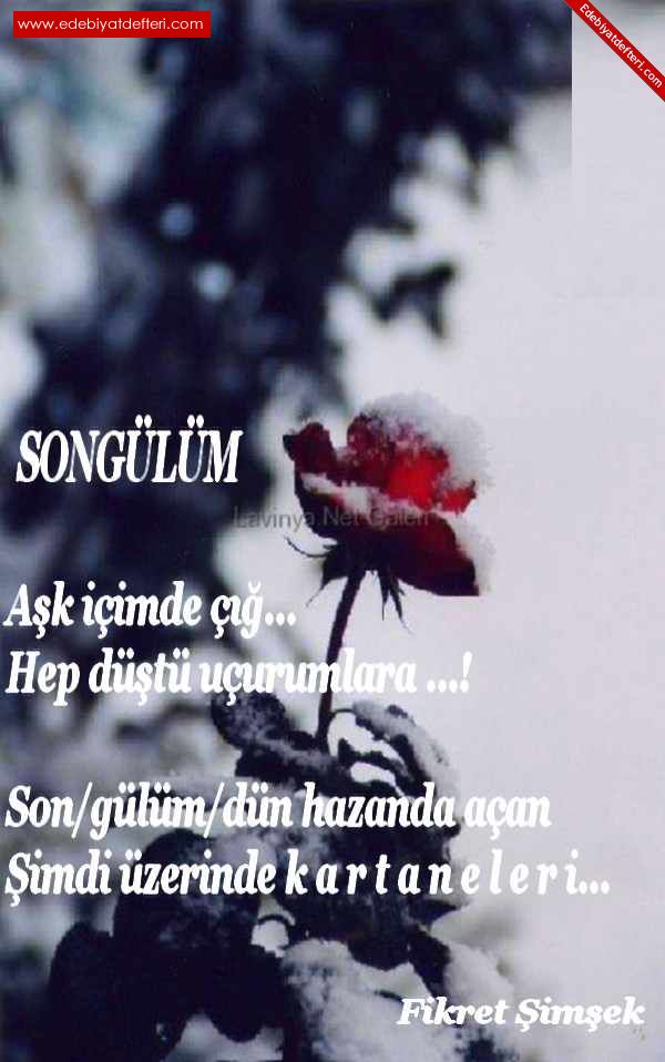 SONGLM