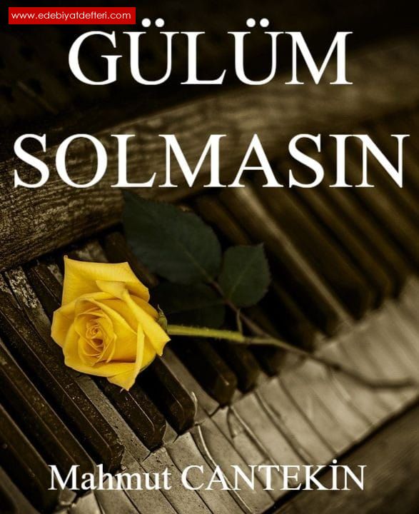 GLM SOLMASIN