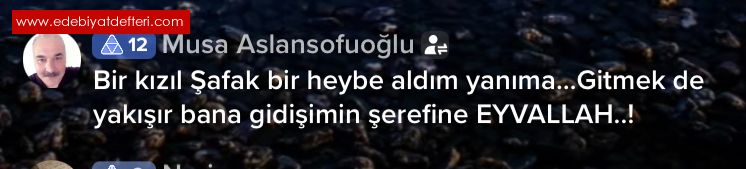 SENNLE OLSUN