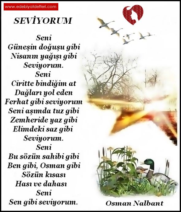 SEVYORUM