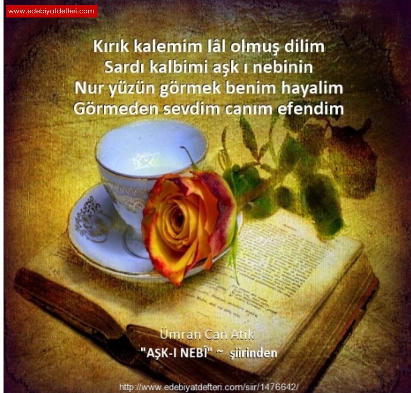 AK-I NEB