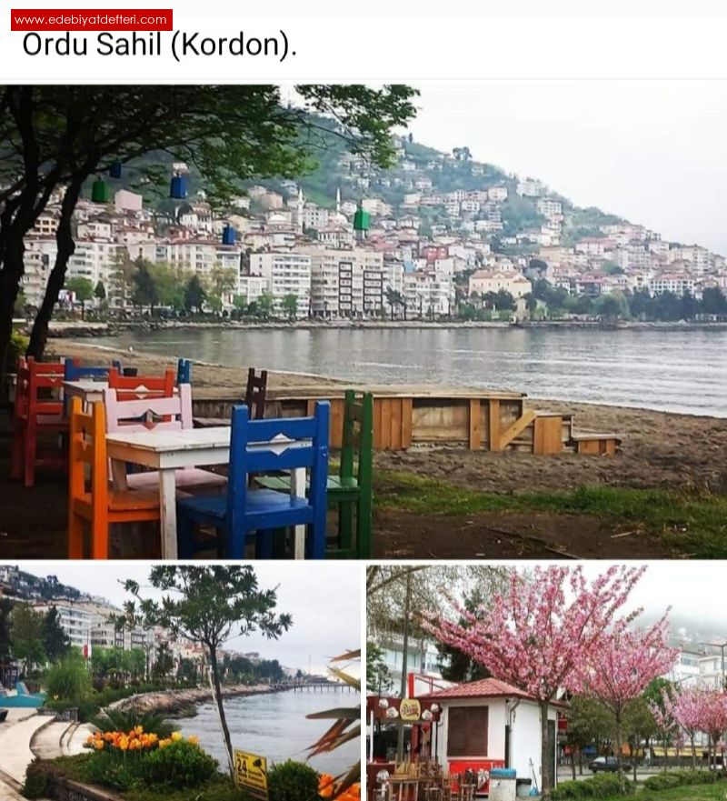 CAN ORDU (905)