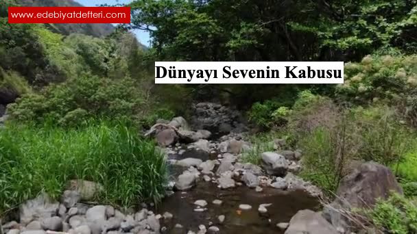 Dnyay Sevenin Kabusu